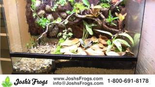 Joshs Frogs Substrate Stop Pond Wall [upl. by Maisie]