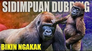 Sidimpuan Dubbing BIKIN NGAKAK Terbaru 2021 [upl. by Carpet141]