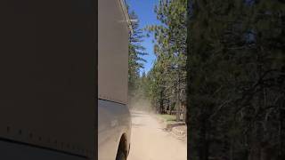 Truck Camper explores forest off grid [upl. by Ateuqal]