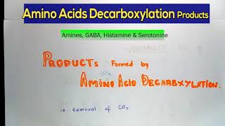 Products Formed By Decarboxylation Of Amino Acids  Synthesis Of AminesGABA Histamine amp Serotonine [upl. by Anbul]