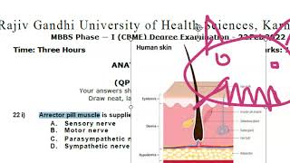 Anatomy 702 Arrector Pili Muscle Sympathetic Nerve PiloMotor Solved Question Paper MCQ [upl. by Leta]