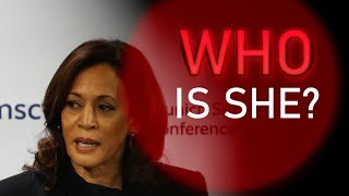 Kamala Harris  A Brief Overview [upl. by Azitram]