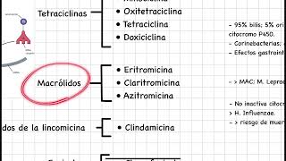 Farmacología básica antibióticos inhibidores de la síntesis de proteínas [upl. by Atsirt]