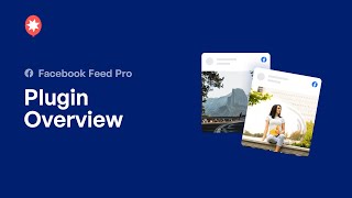 The Custom Facebook Feed WordPress Plugin v4 [upl. by Ronoh]