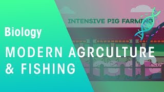 Modern Agriculture and Fishing  Environment  Biology  FuseSchool [upl. by Diarmit]