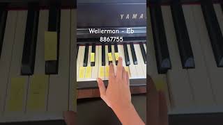 Wellerman on piano in Eb [upl. by Burnight688]