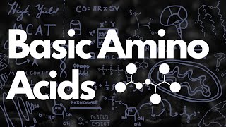 Basic Amino Acids MCAT  Histidine Tautomerization  MCAT [upl. by Lewendal811]