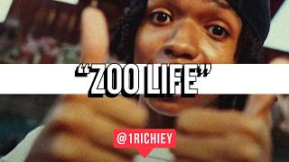 FREE BabyChiefDoIt Type Beat  Zoo Life [upl. by Ollayos840]