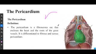 Anatomy of the pericardium and the heart Part 1 [upl. by Htims372]