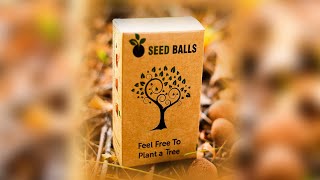 Seed Balls Return Gift Pack of 6 Tree Seed Balls [upl. by Sajet71]