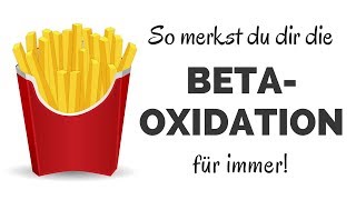 Beta Oxidation lernen amp verstehen in Rekordzeit Die besten Eselsbrücken amp Gedächtnispalast [upl. by Nodnrb628]