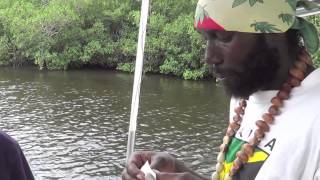 SNOOK FISHING IN NEGRIL JAMAICA [upl. by Ashok]