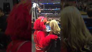 Benny the bull running game at a reporter [upl. by Prader]