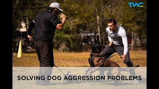 SOLVING DOG AGGRESSION WITH BITE WORK  Live Conversation with 2time World Champion Ivan Balabanov [upl. by Lorianna]