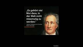 Zitat Johann Wolfgang von Goethe [upl. by Dallis870]