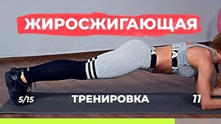 Жиросжигающая тренировка для похудения дома без дополнительного оборудования [upl. by Akeryt986]