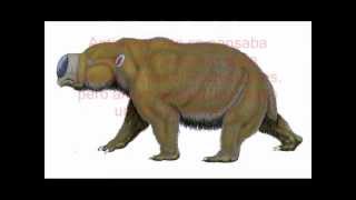 Diprotodon [upl. by Sausa32]