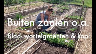 Inis Moestuin 182  Buiten zaaien blad en wortelgroenten kool Binnen zaaien o a courgette [upl. by Jauch]