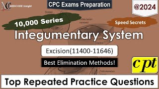 CPT Integumentary System Excision [upl. by Gratiana49]