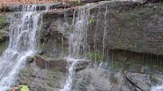 November 15 2024  Jackson Falls  Natchez Trace [upl. by Ahsekram]