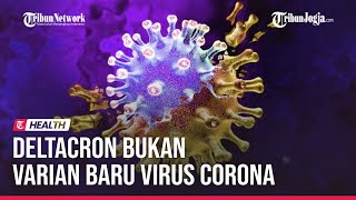 DELTACRON BUKAN VARIAN BARU VIRUS CORONA Apa itu [upl. by Funda]