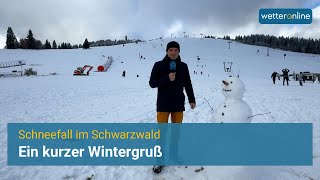 Schneefall im Schwarzwald  Ein kurzer Wintergruß [upl. by Herbert]