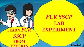 What is PCR SSCP Polymerase chain reaction singlestrand conformation polymorphism Principle [upl. by Miuqaoj]