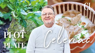 Tips for growing and cooking celeriac according to Raymond Blanc’s Team  Country Living UK [upl. by Merce]