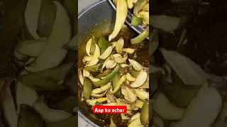 aapko achar ko recipe full video chai hernu hola hai [upl. by Arlen529]