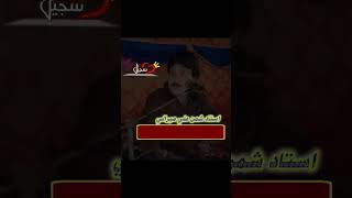 Aadi Banji Wayo Aa Zulim Jo  Shaman ali Mirali shorts viral shortsvido viralvideo foryou [upl. by Chemush460]