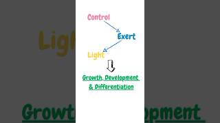 Photomorphogenesis biology youtube biotechnology science plantphysiology pritiduhanofficial [upl. by Rowena]