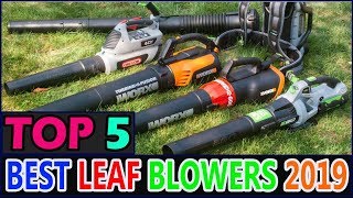 Best Leaf Blowers amp Leaf Vacuums in 2019 [upl. by Atteynad]