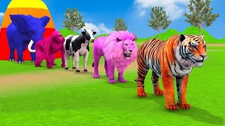 Long Slide Game With Elephant Gorilla Buffalo Hippopotamus Tiger  3d Animal Game  Funny 3d Animals [upl. by Hajan]