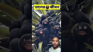 তালের জীবনে 😂  funnyvideo comedyshorts [upl. by Isayg]