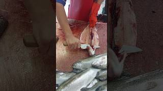 A small but professional fishmonger in trout cleaning fishcutting [upl. by Elinore]