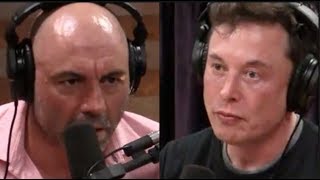 Joe Rogan  Elon Musk on Artificial Intelligence [upl. by Karola287]