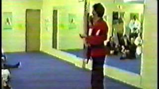 Shaolin Kempo Karate Seminar 1989 Fred Bagley part 2 [upl. by Yessydo]