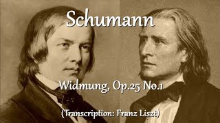 SchumannLiszt  Widmung Op25 No1 [upl. by Notsnorb351]