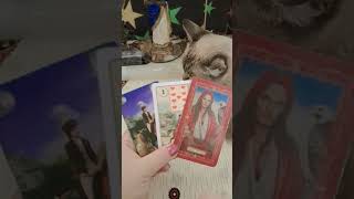 O MENSAGEIRO tarot sejacriador espiritualidade baralhocigano youtubeshorts [upl. by Gnouv]