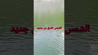 الشمس تشرق من جديد [upl. by Esenwahs]