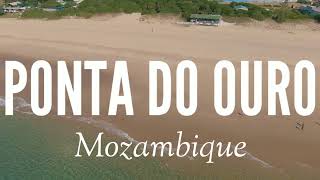 Ponta do Ouro  Mozambique  Beach and cove from above Drone [upl. by Bryan236]