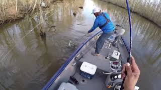 LAKE VERRET BAY NATCHEZ SPAWN CRAPPIE FISHING 2182018 [upl. by Fradin]