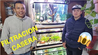 JAVIER Y SUS HERMOSOS ACUARIOS DE GRANJAS DE PECES CON FILTRACIÓN CASERA [upl. by Bronwen]