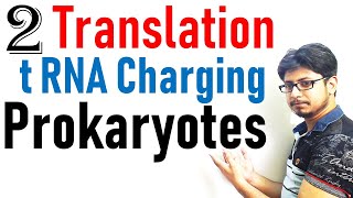 Translation in prokaryotes lecture 2  tRNA charging in protein synthesis [upl. by Catto]