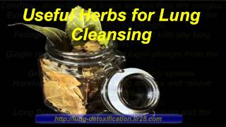 How to Detoxify Lungs Detoxify Lungs [upl. by Aicen457]