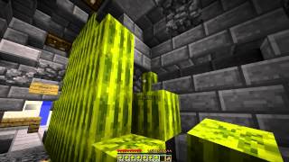 WATERMELON MASSACRE Minecraft FUNNY COPS N ROBBERS 30 MiniGame wMitch amp Friends [upl. by Clotilde]