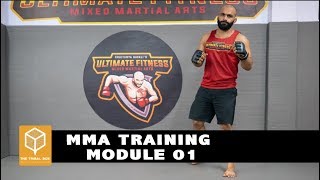 Beginners MMA Crash Course Lesson 1 Basics [upl. by Annahsad]