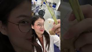 microbiology viralvideo trending shorts microscope bacteria nature travel trendingshorts [upl. by Aklog]