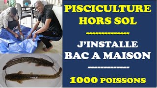 Jinstalle un Bac pour Elever 1000 Poissons à la Maison [upl. by Nilesoy108]