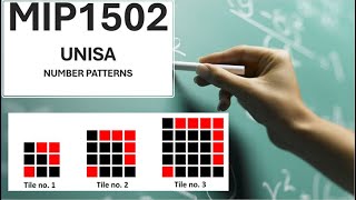 MIP1502 UNISA Assignment 4 discussion 2024  Number Patterns  Functions  Andile and Beki Gym fees [upl. by Hamlin807]